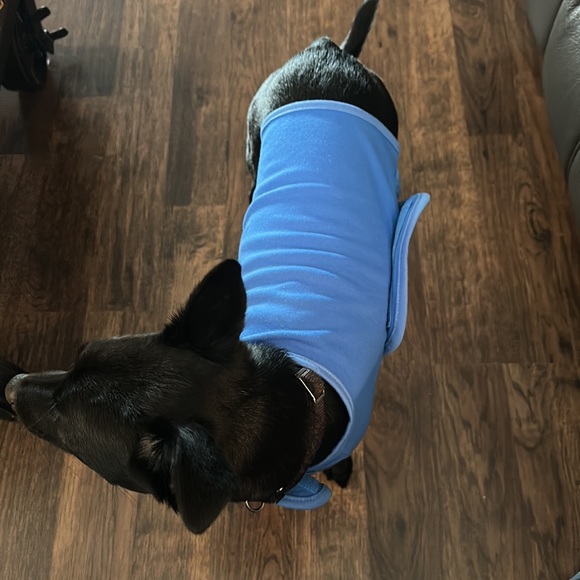 Calming Shirt S - Picture 5 of 7